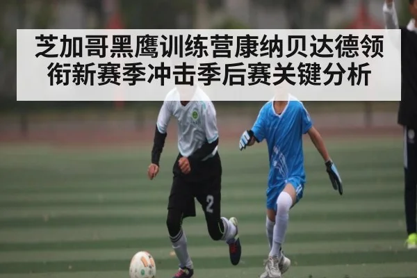 芝加哥黑鹰训练营康纳贝达德领衔新赛季冲击季后赛关键分析